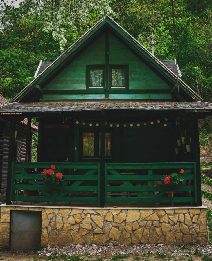 Villa Vikendica,, Tadic,, Ovcar Banja Exterior foto
