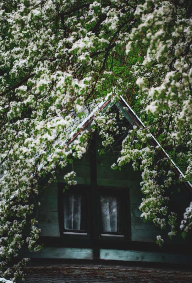 Villa Vikendica,, Tadic,, Ovcar Banja Exterior foto